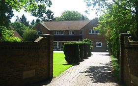 Tanglewood Gatwick Bed & Breakfast